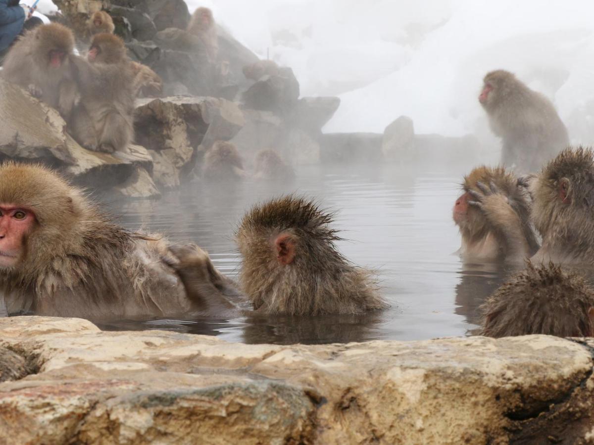 Hotel Minshuku Miyama Nakano  Zewnętrze zdjęcie