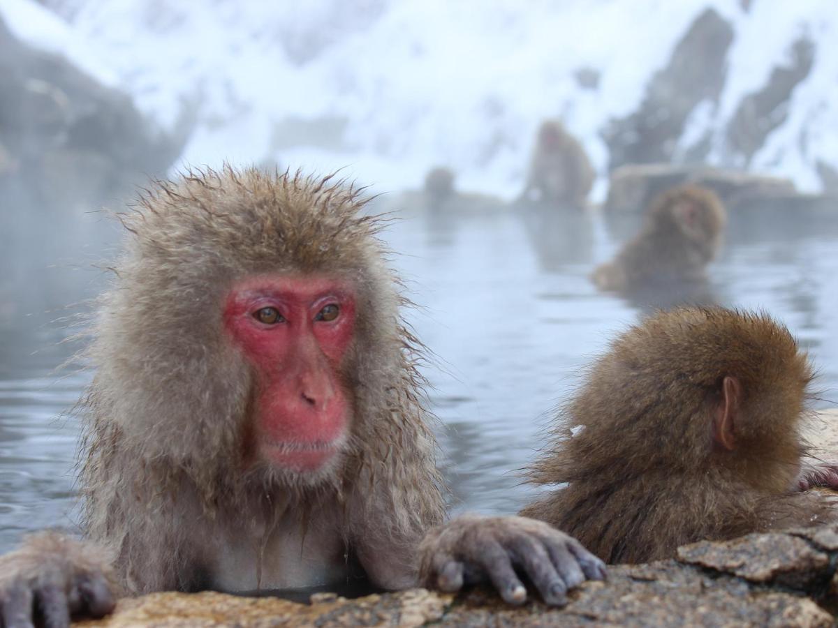 Hotel Minshuku Miyama Nakano  Zewnętrze zdjęcie